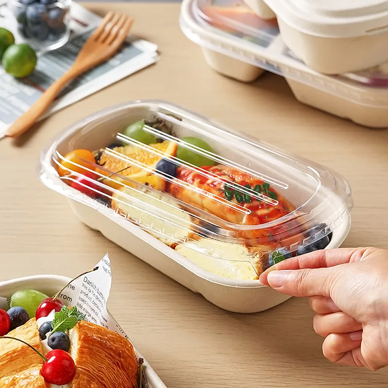 1000ml Sugarcane Biodegradable Light Food Box