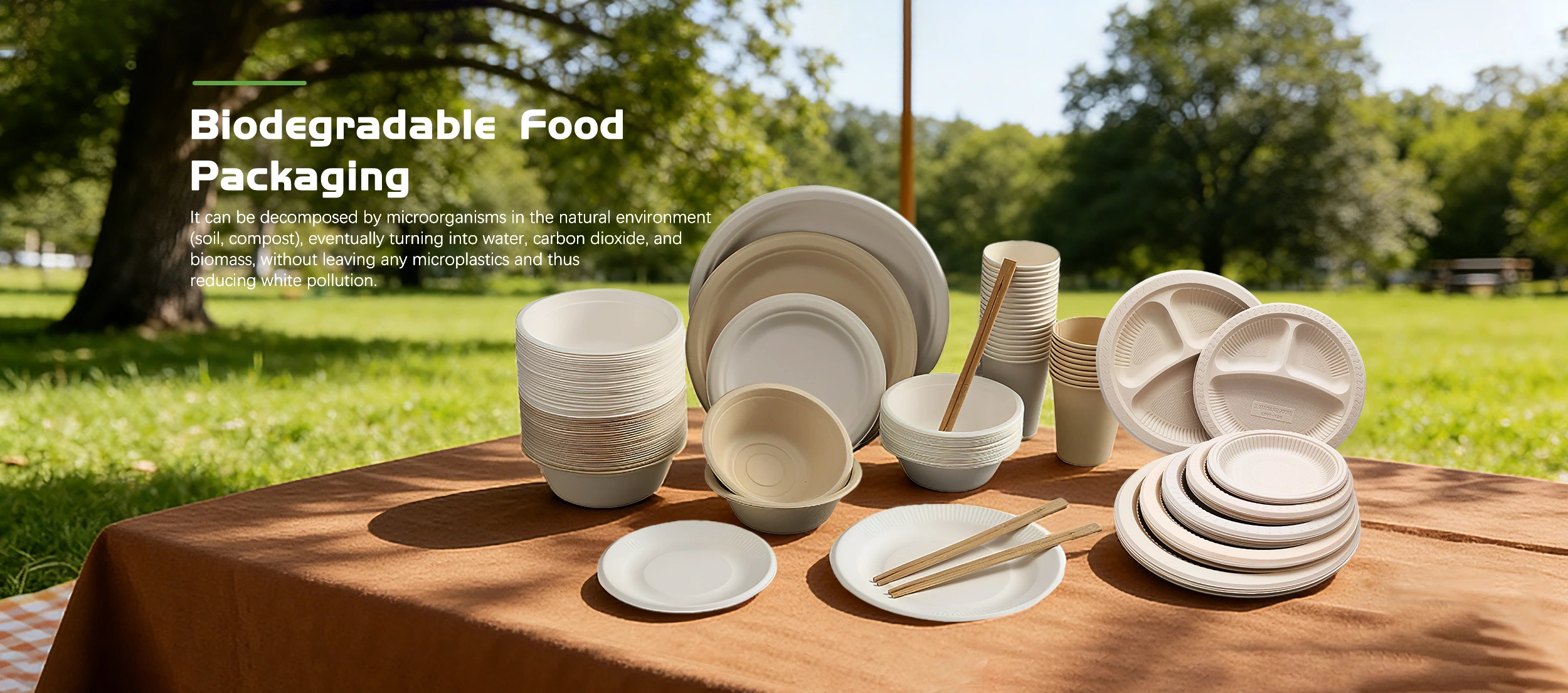 China Biodegradable Food Packaging Supplier