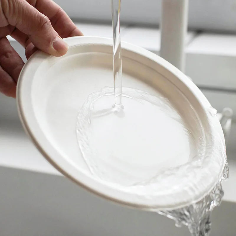 7inch Sugarcane White Biodegradable Plate